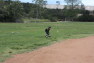 20120425033.jpg